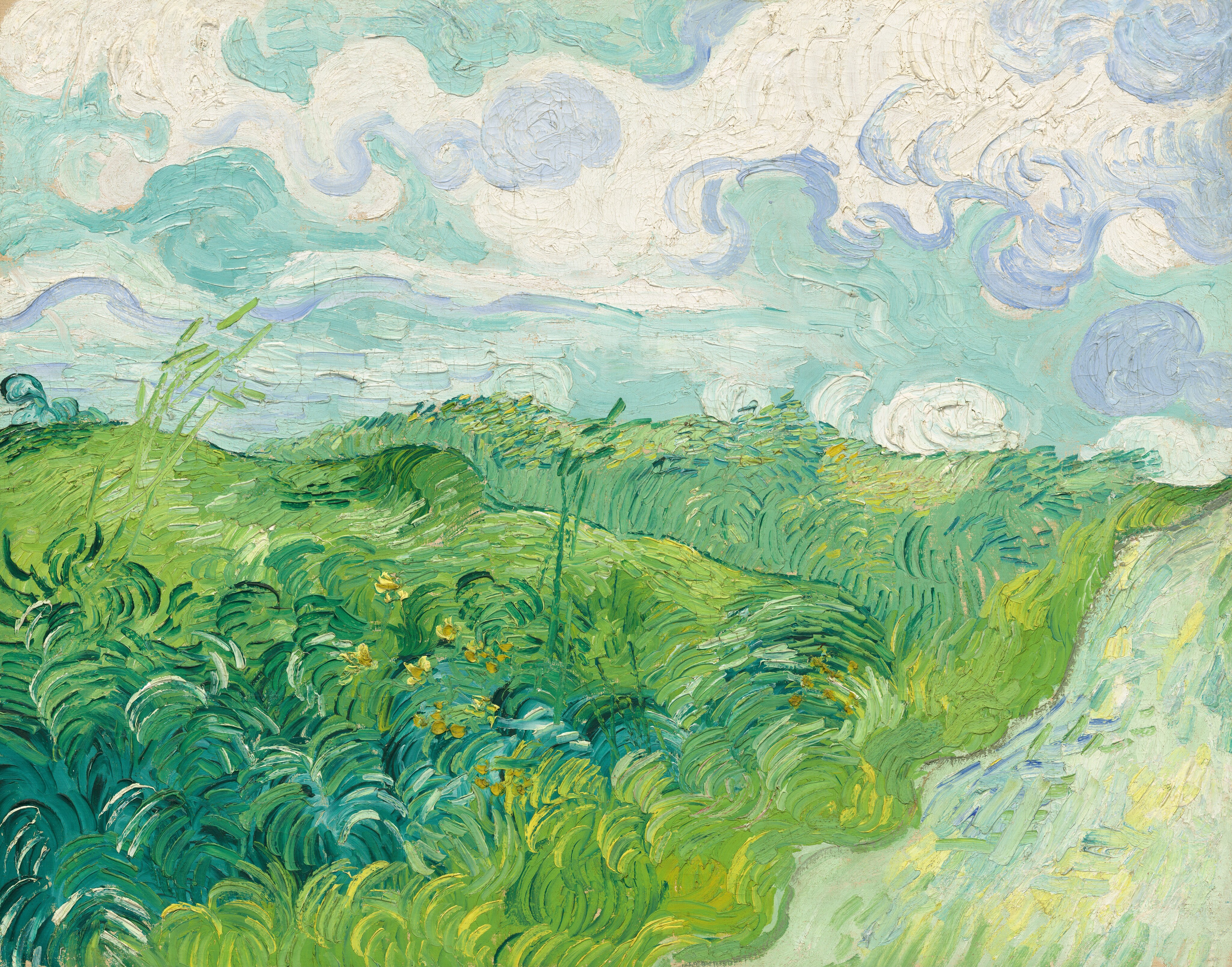 Green Wheat Fields, Auver by Vincent Van Gogh